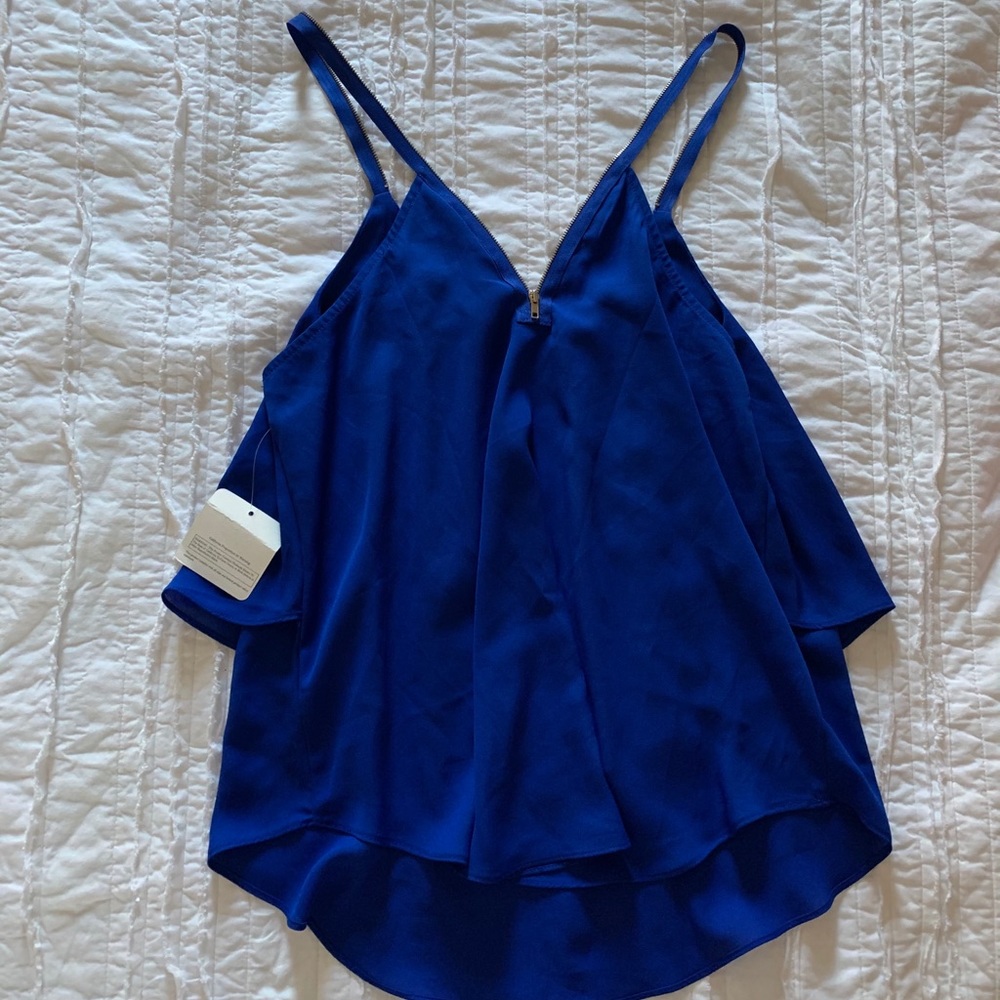 Blue Blouse